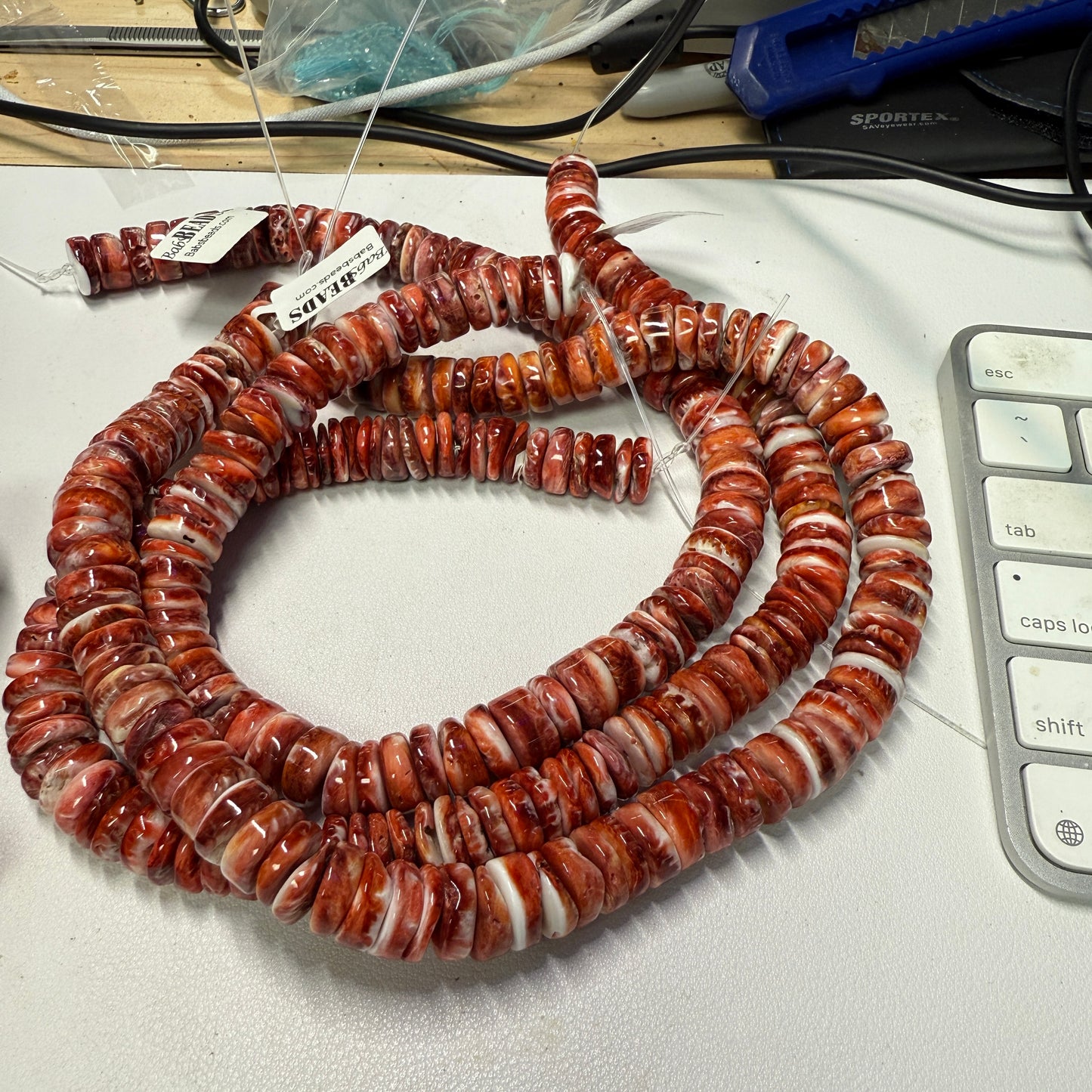 Spiny Oyster Beads approx. 12mm 16" strands