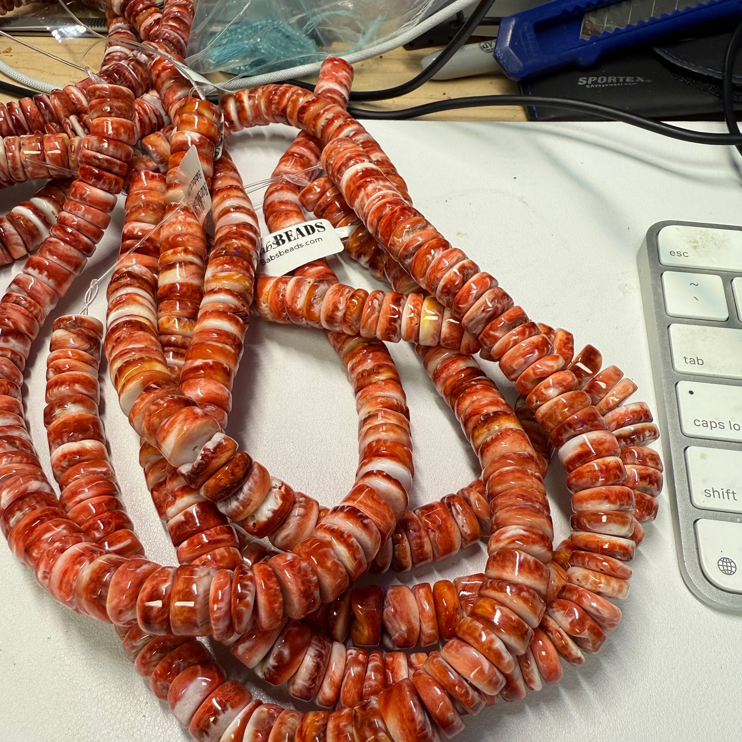 Spiny Oyster Beads approx. 12mm 16" strands