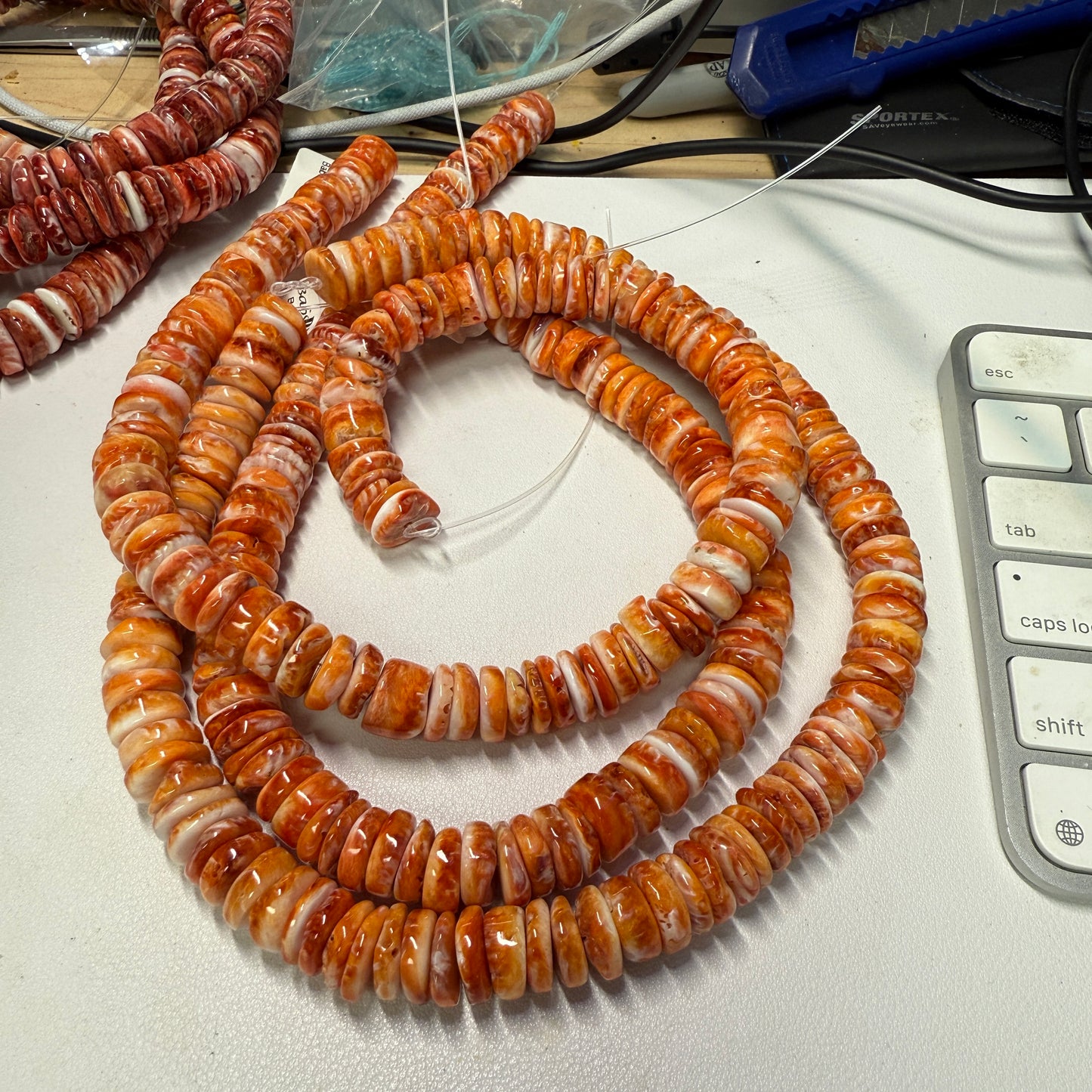 Spiny Oyster Beads approx. 12mm 16" strands