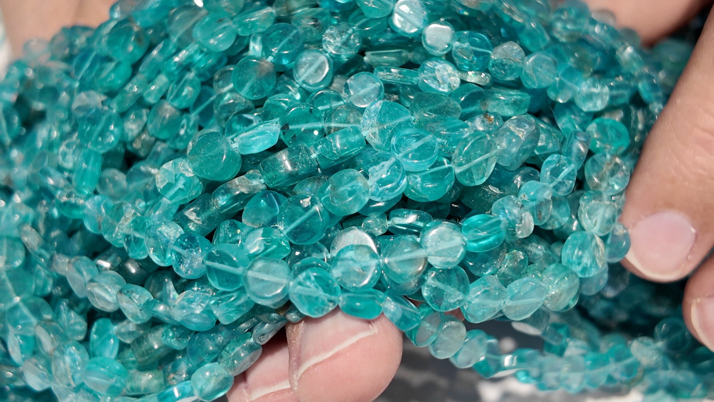 Apatite Beads Coin shaped 6x3 mm 16" strands