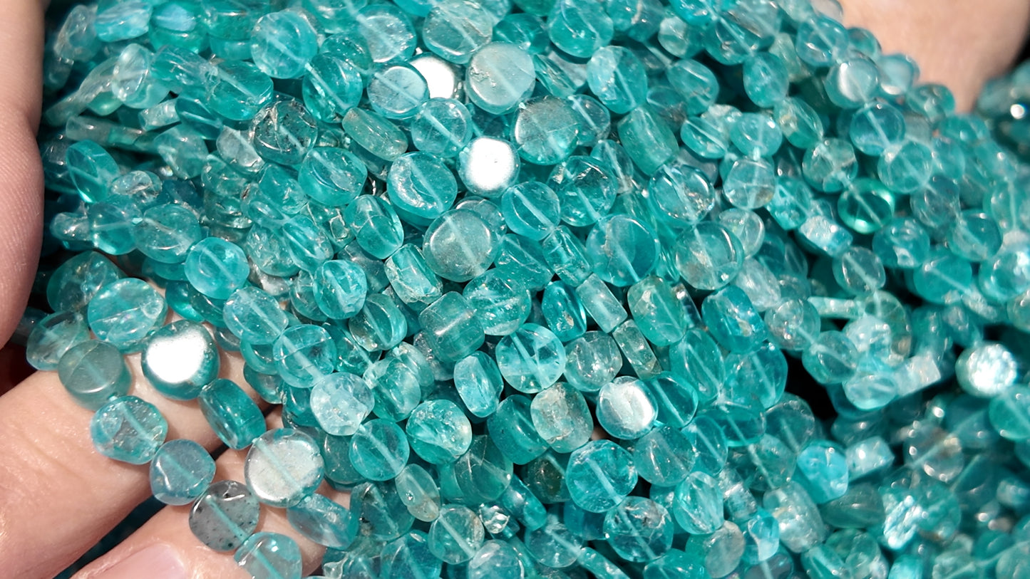 Apatite Beads Coin shaped 6x3 mm 16" strands