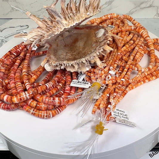 Spiny Oyster Beads 4-10mm 16"